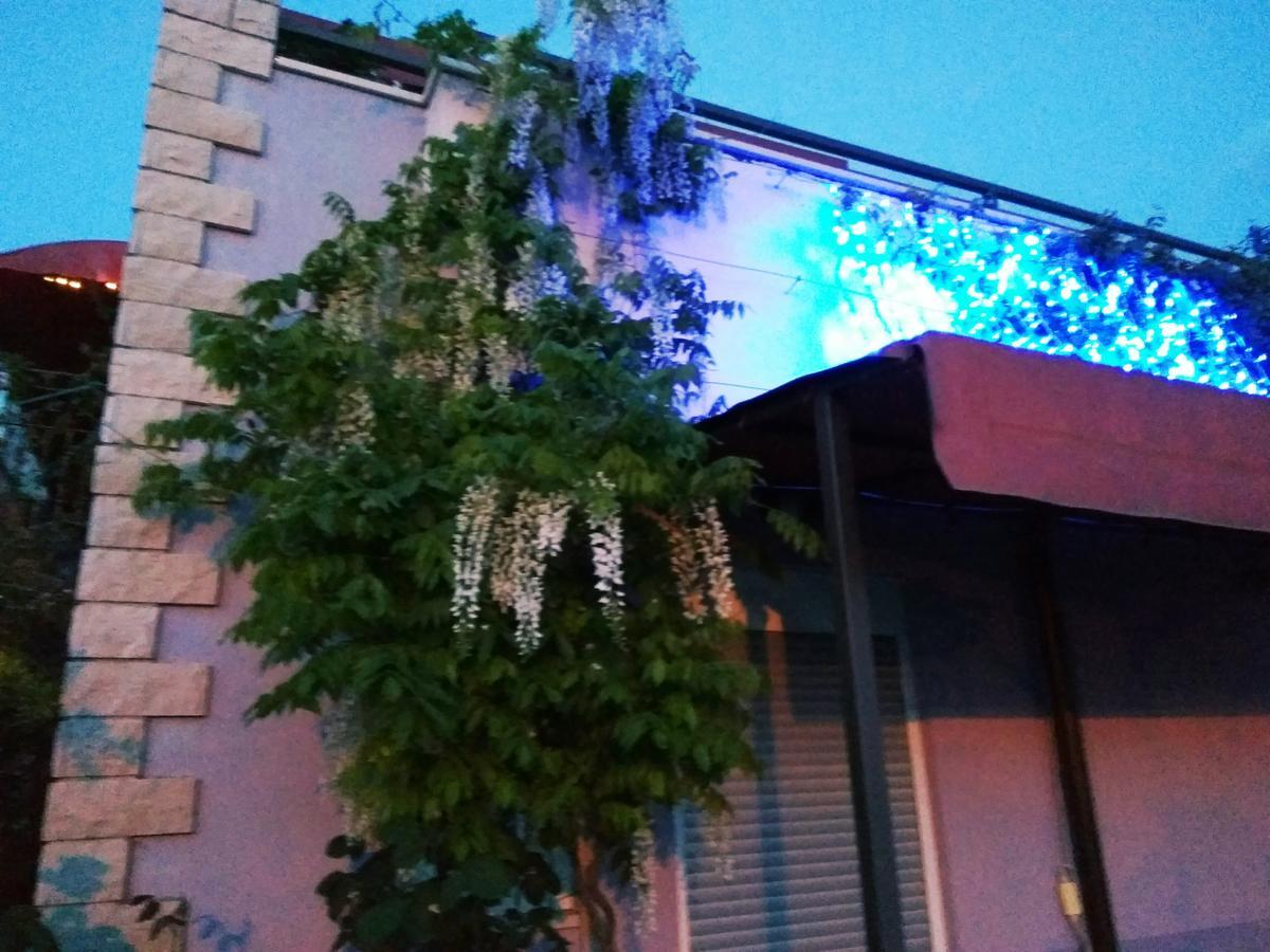 维欧拉公寓式酒店 普耶斯察纳乌瓦拉 外观 照片